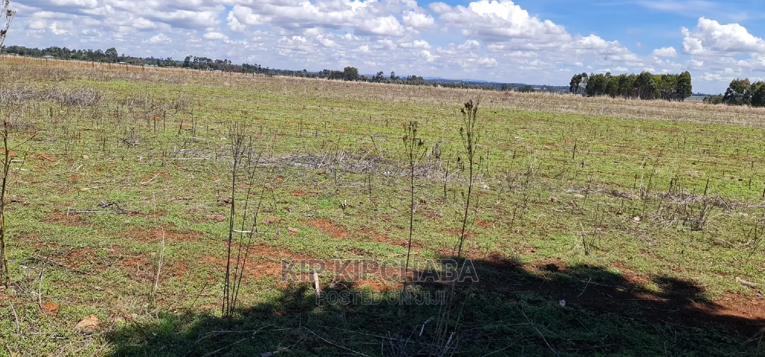 Prime Plots for Sale in Kuinet Touching Tarmac in Eldoret