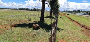Prime Plots for Sale in Kuinet Touching Tarmac in Eldoret