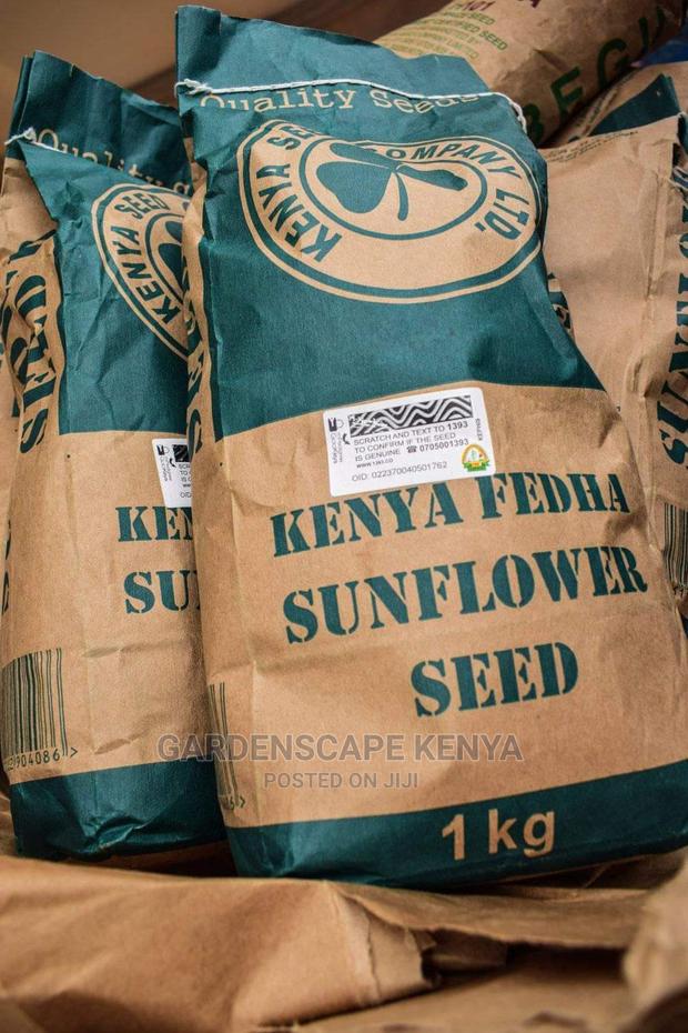 Kenya Fedha Sunflower Seeds Per Kg - main view