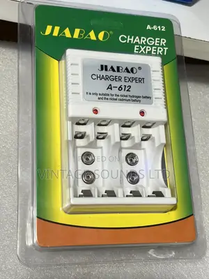 Jiabao Battery Charger