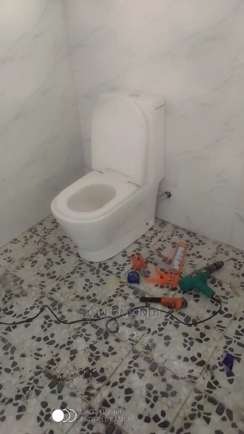 Professional Plumber CV