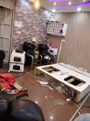 Professional Plumber CV
