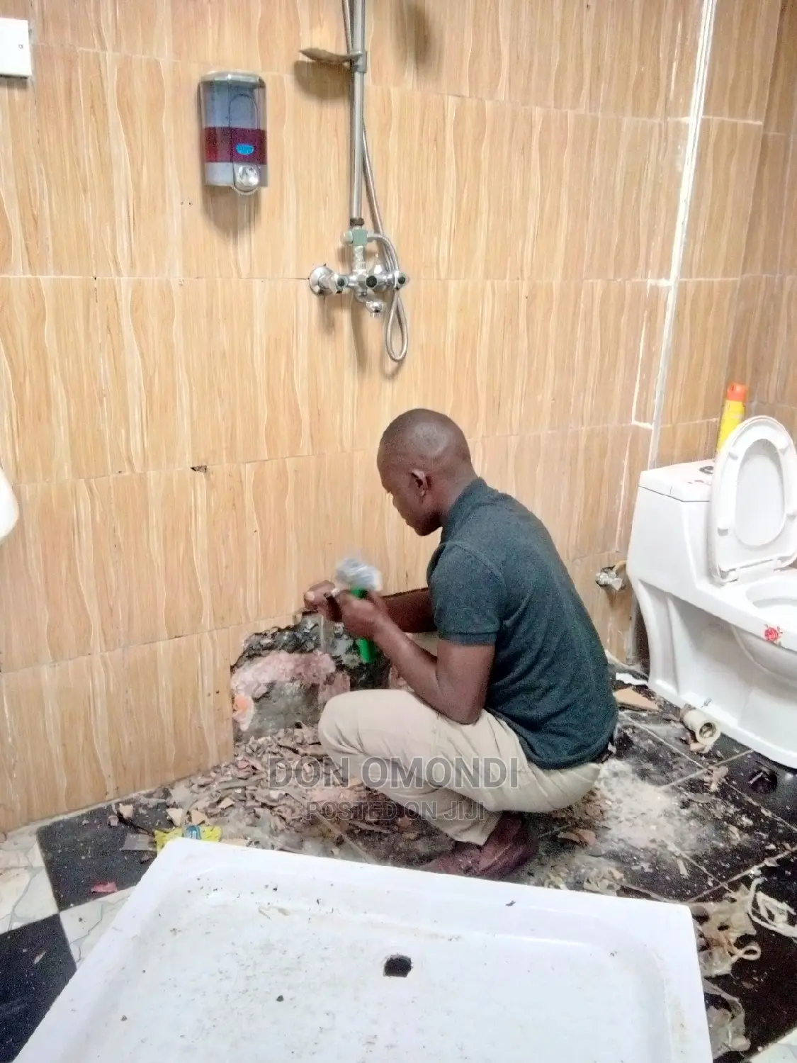 Professional Plumber CV