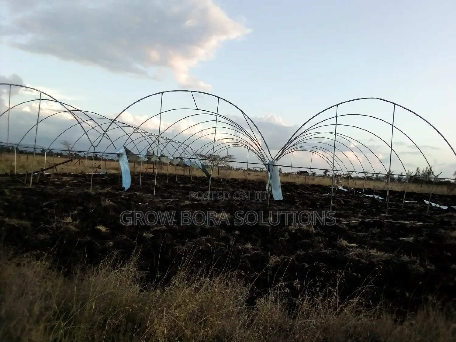 Irrigation Systems,Green House Construction and Repair,200 Micron Poly