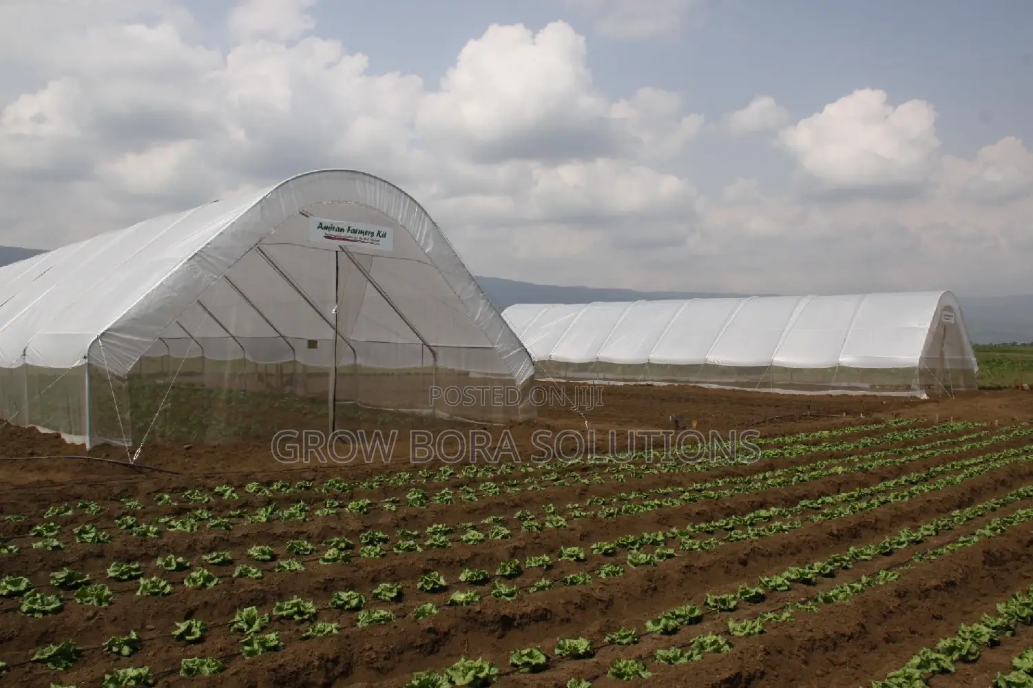 Irrigation Systems,Green House Construction and Repair,200 Micron Poly