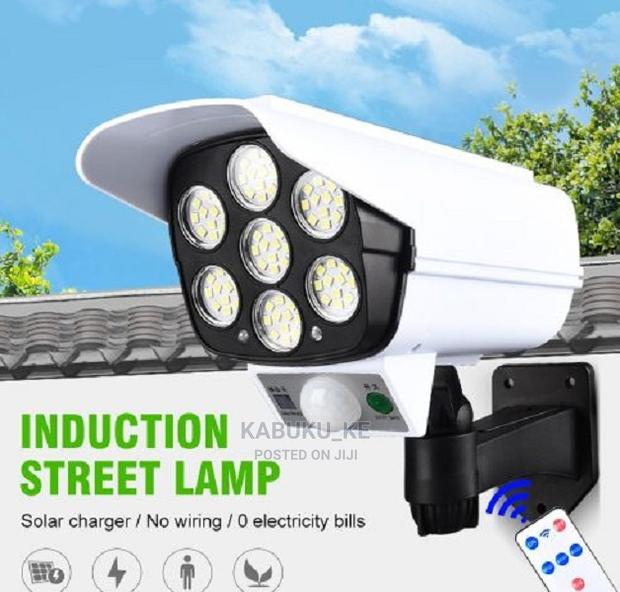 Outdoor Solar Monitoring Lamp