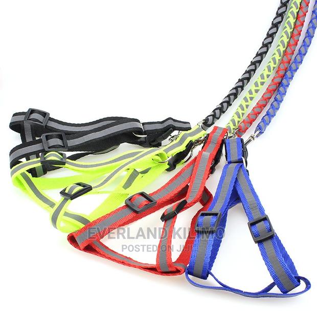 Reflective Dog Leash And Harness - thumbnail 3