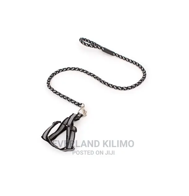 Reflective Dog Leash And Harness