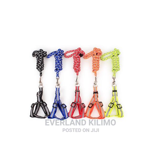 Reflective Dog Leash And Harness - thumbnail 4