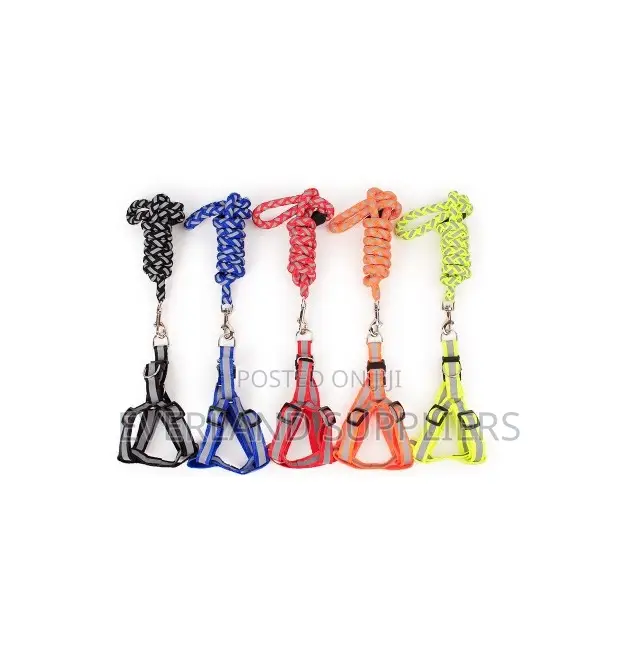 Reflective Dog Leash And Harness