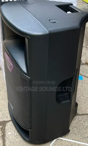15 Inches Legend Midrange Professional Speaker