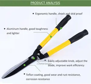 Garden Lawn Scissors