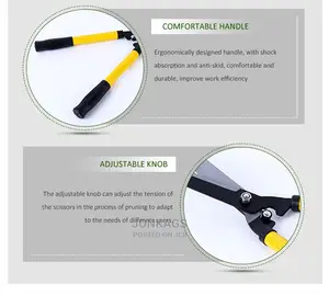 Garden Lawn Scissors