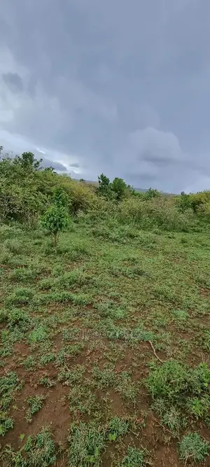 16 Acres ,Lentoko at 450k Per Acre