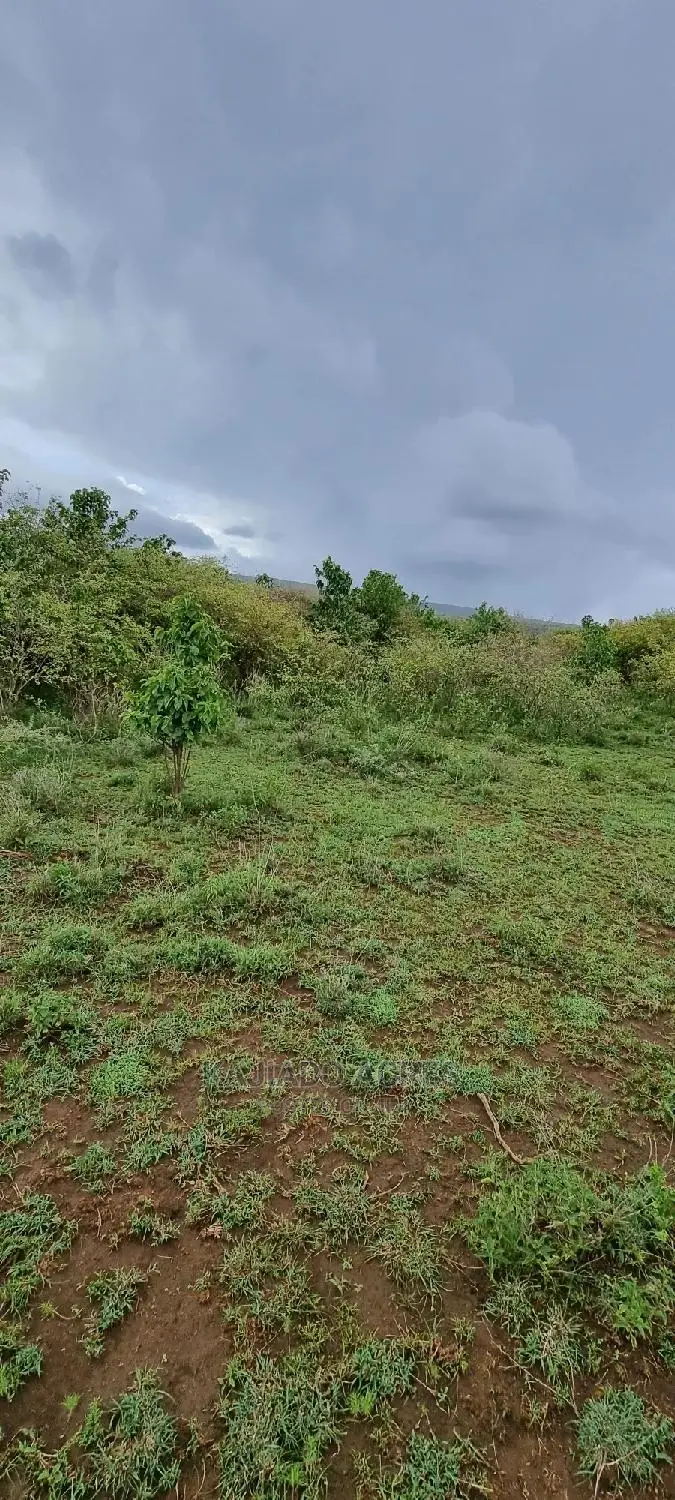 16 Acres ,Lentoko at 450k Per Acre