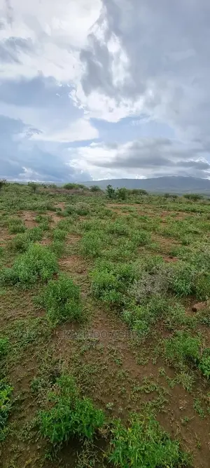 16 Acres ,Lentoko at 450k Per Acre