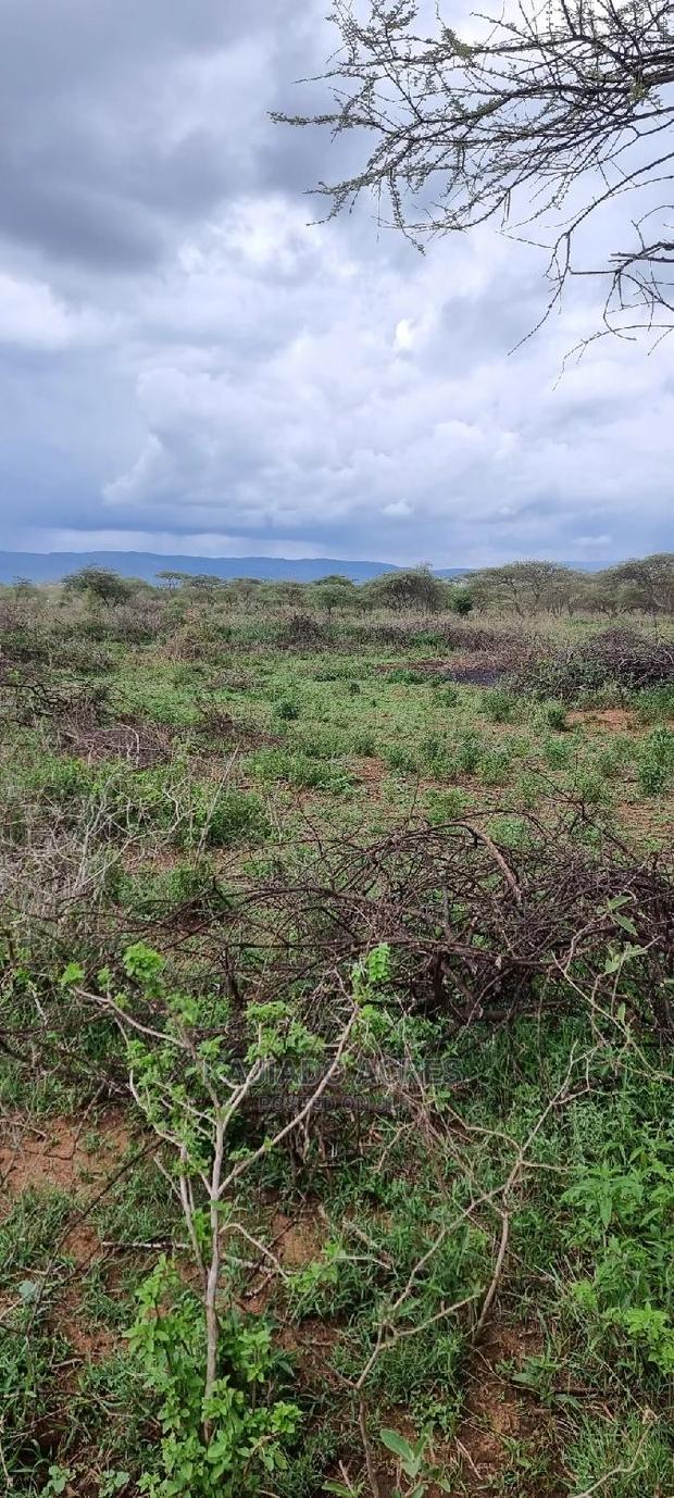 16 Acres ,Lentoko at 450k Per Acre - thumbnail 10