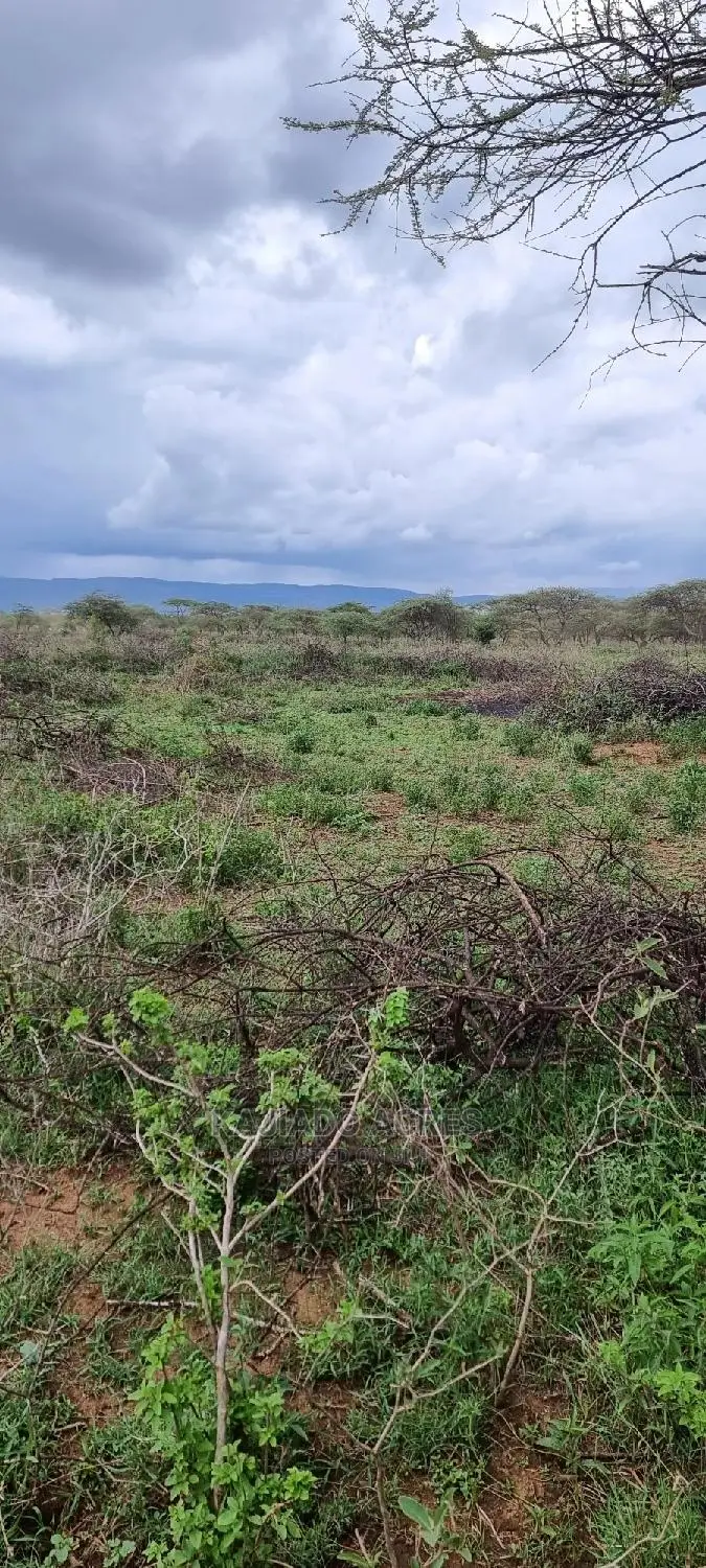 16 Acres ,Lentoko at 450k Per Acre