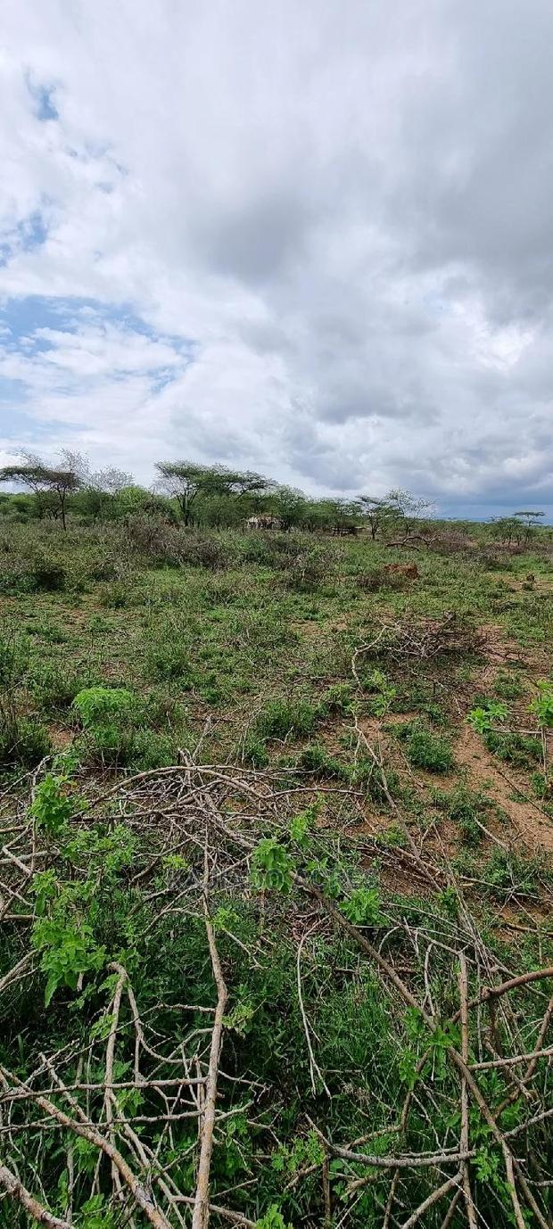 16 Acres ,Lentoko at 450k Per Acre - thumbnail 9