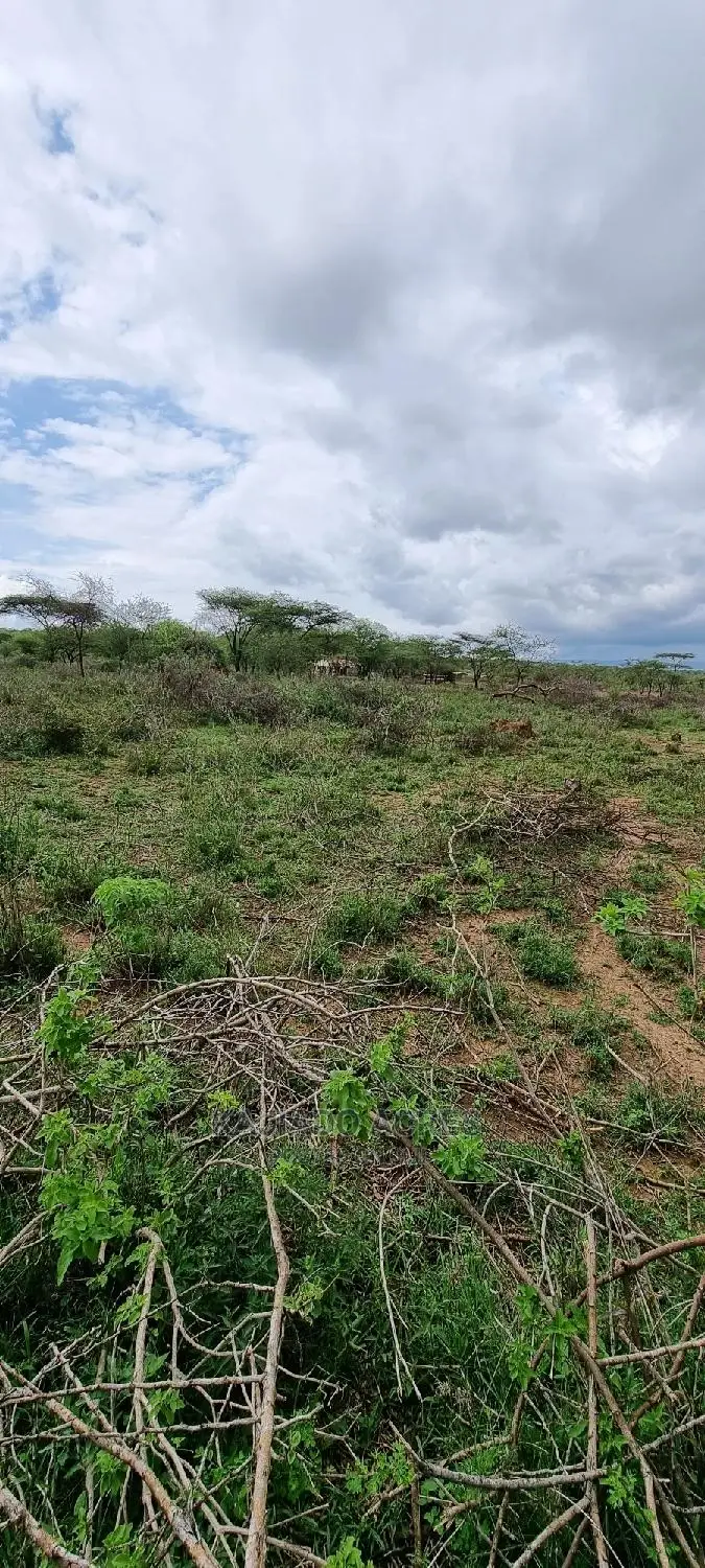 16 Acres ,Lentoko at 450k Per Acre