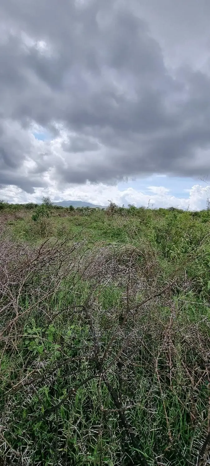 16 Acres ,Lentoko at 450k Per Acre