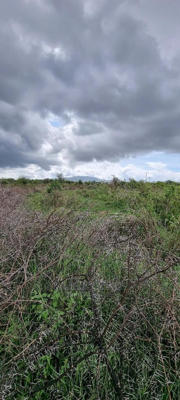 16 Acres ,Lentoko at 450k Per Acre - thumbnail 7