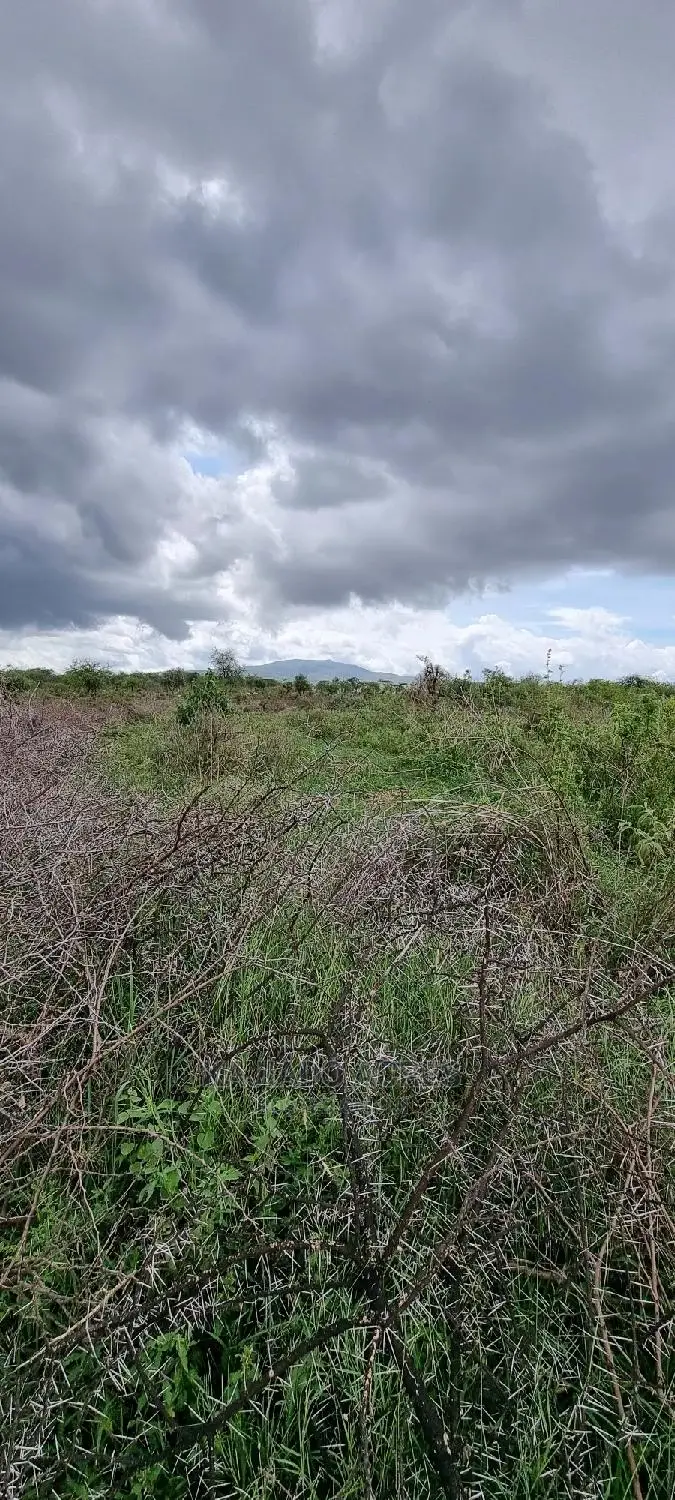 16 Acres ,Lentoko at 450k Per Acre