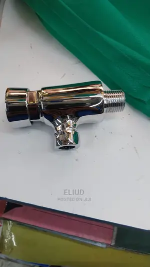 Urinal Flushing Valves