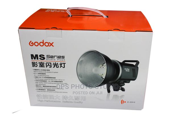 Godox Ms 300 - main view