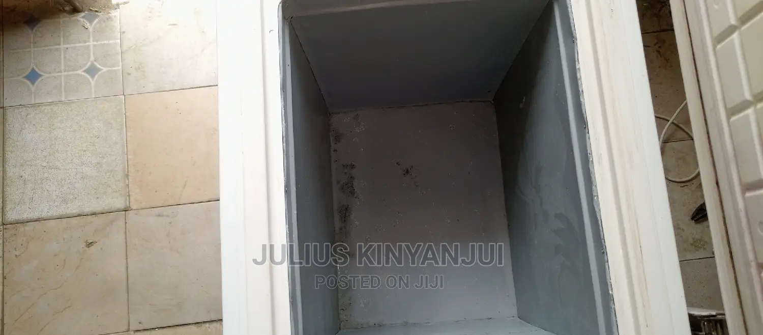 Mini Freezer 100L