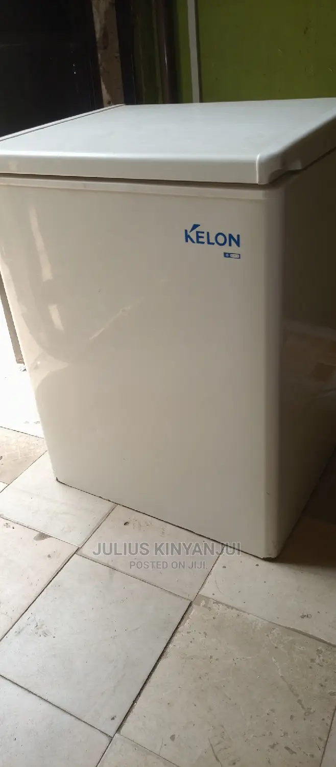 Mini Freezer 100L
