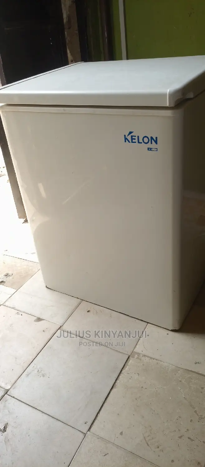 Mini Freezer 100L