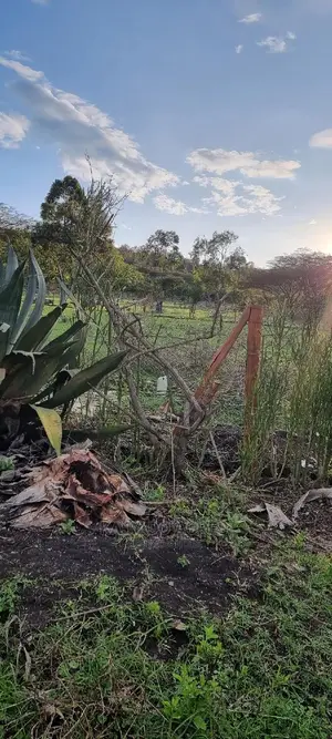 Prime 1 Acre Olesos ,Kiserian ,At 8.5m