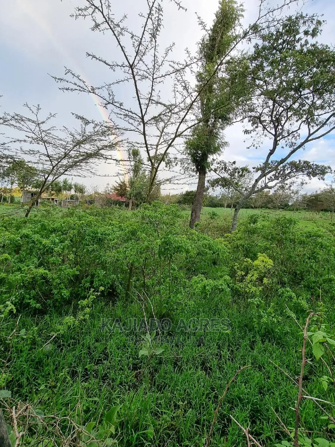 Prime 1 Acre Olesos ,Kiserian ,At 8.5m