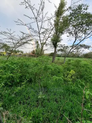 Prime 1 Acre Olesos ,Kiserian ,At 8.5m