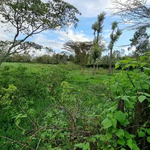 Prime 1 Acre Olesos ,Kiserian ,At 8.5m