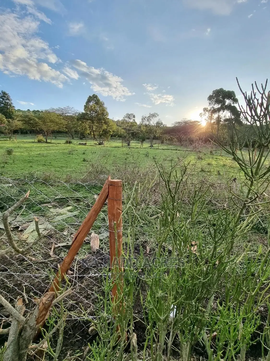 Prime 1 Acre Olesos ,Kiserian ,At 8.5m