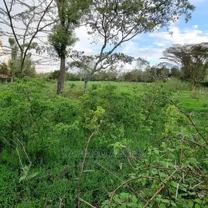 Prime 1 Acre Olesos ,Kiserian ,At 8.5m