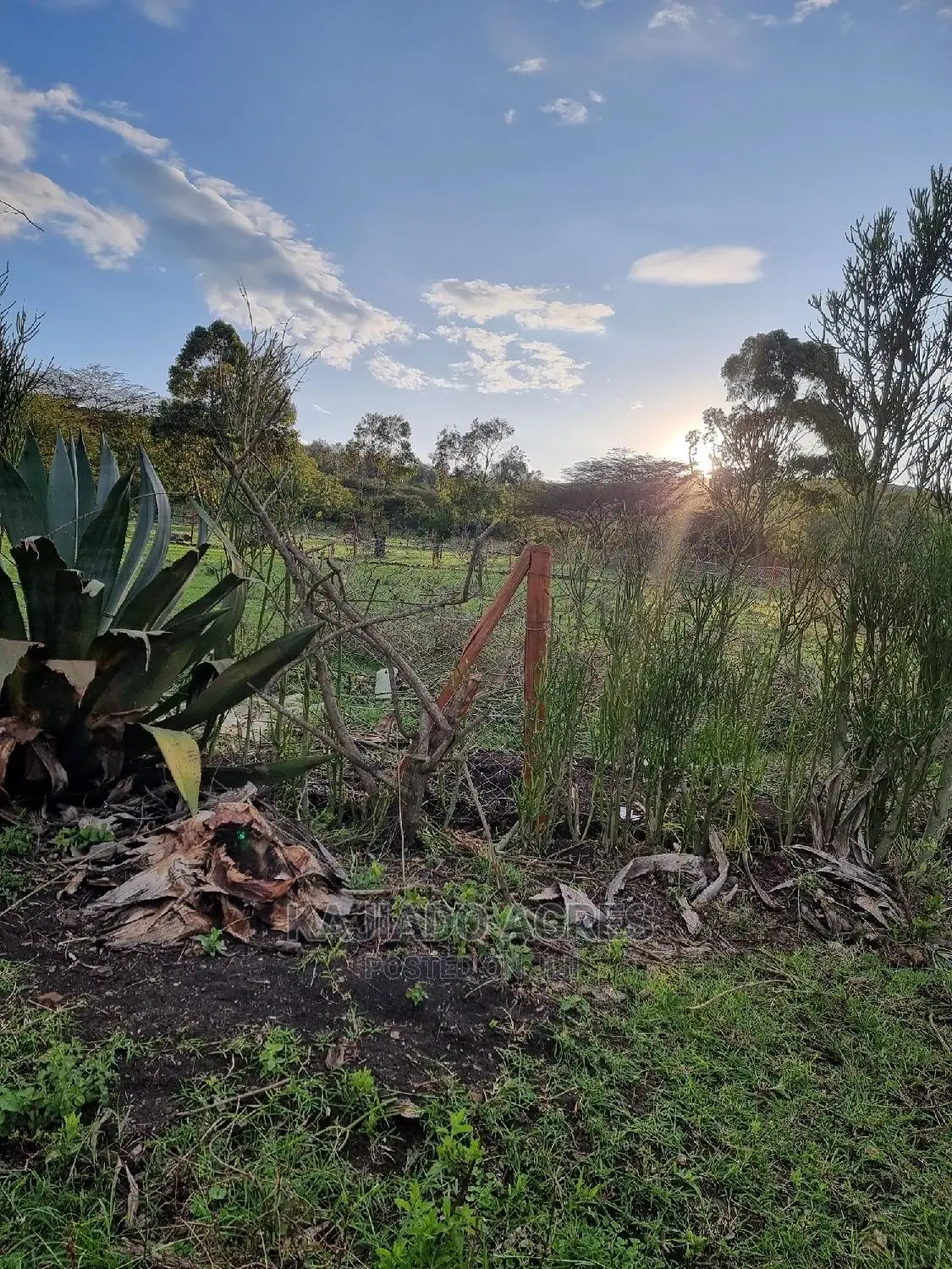 Prime 1 Acre Olesos ,Kiserian ,At 8.5m