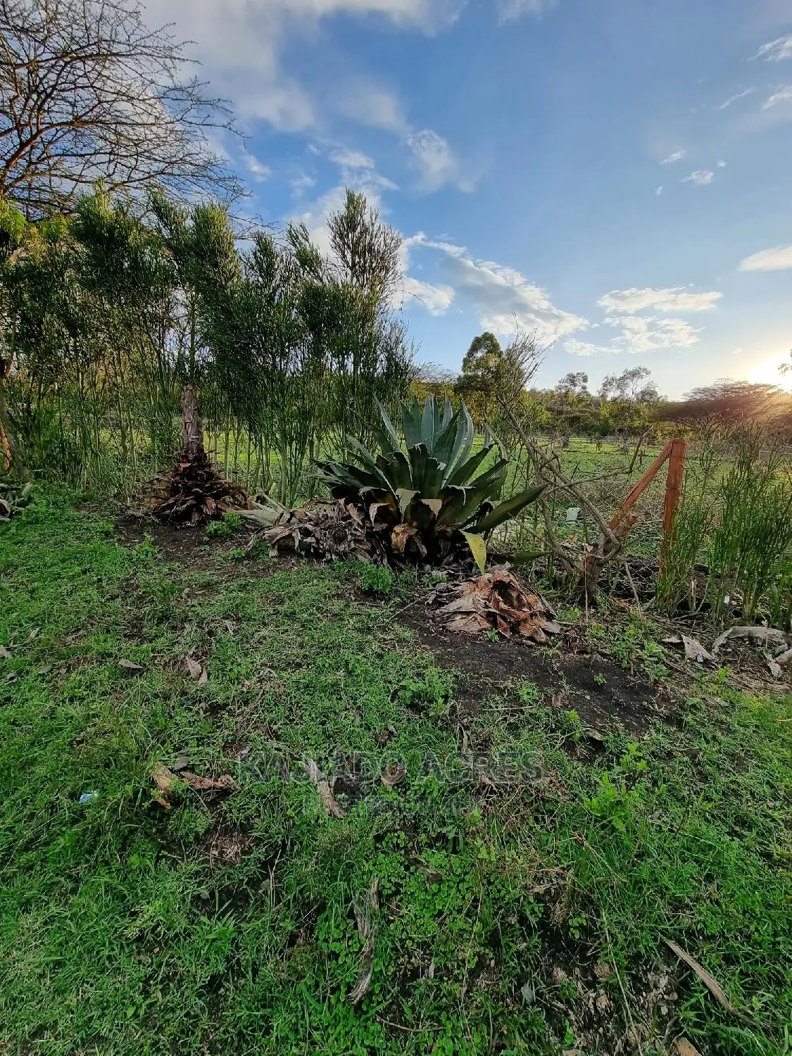 Prime 1 Acre Olesos ,Kiserian ,At 8.5m