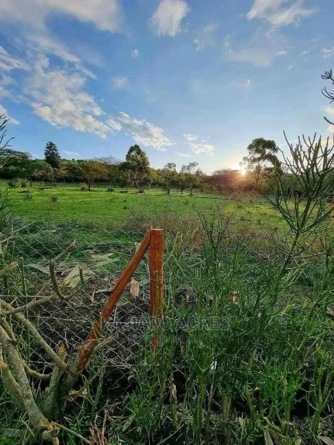 Prime 1 Acre Olesos ,Kiserian ,At 8.5m