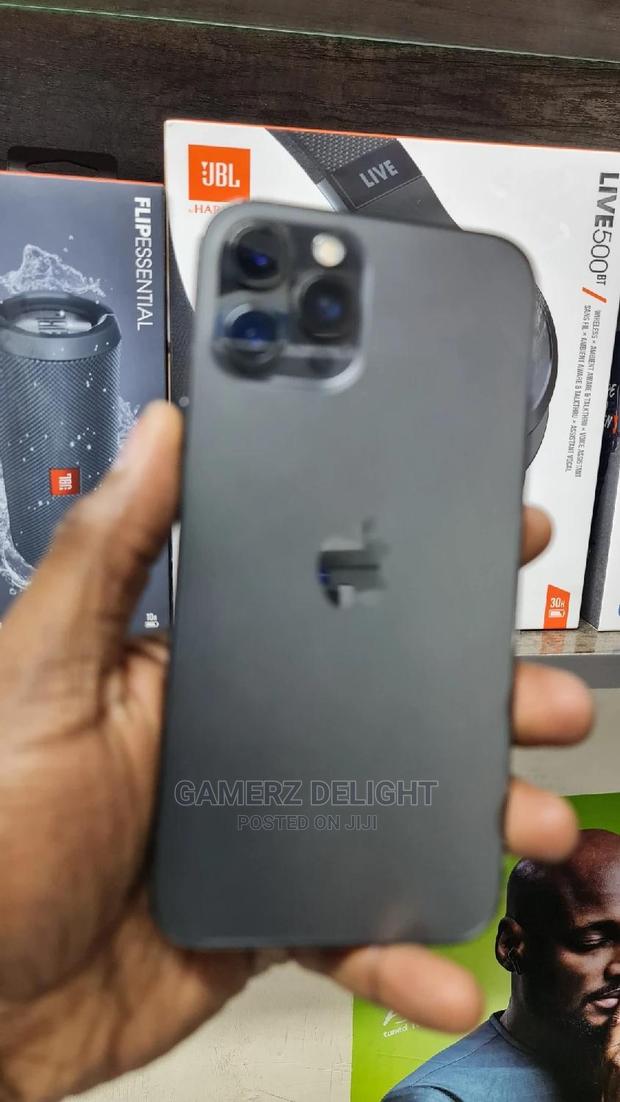 Apple iPhone 12 Pro Max 256 GB Gray - thumbnail 2