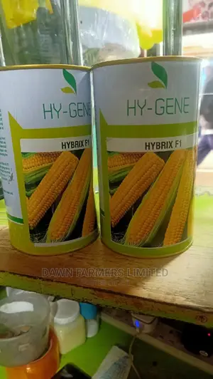 Sweet Corn Hybrix F1 500gms