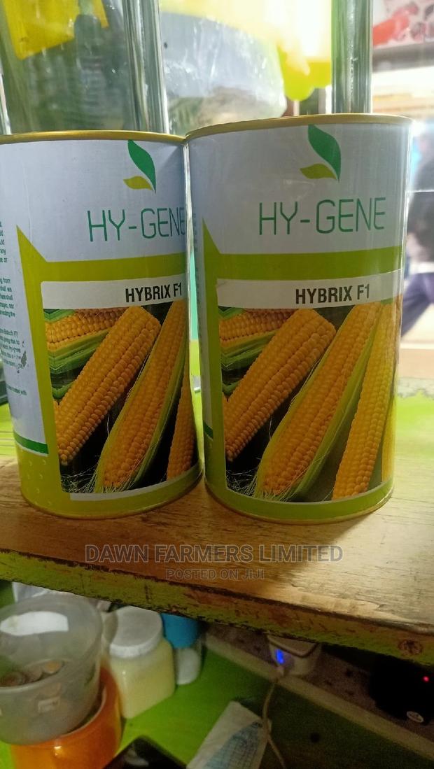Sweet Corn Hybrix F1 500gms