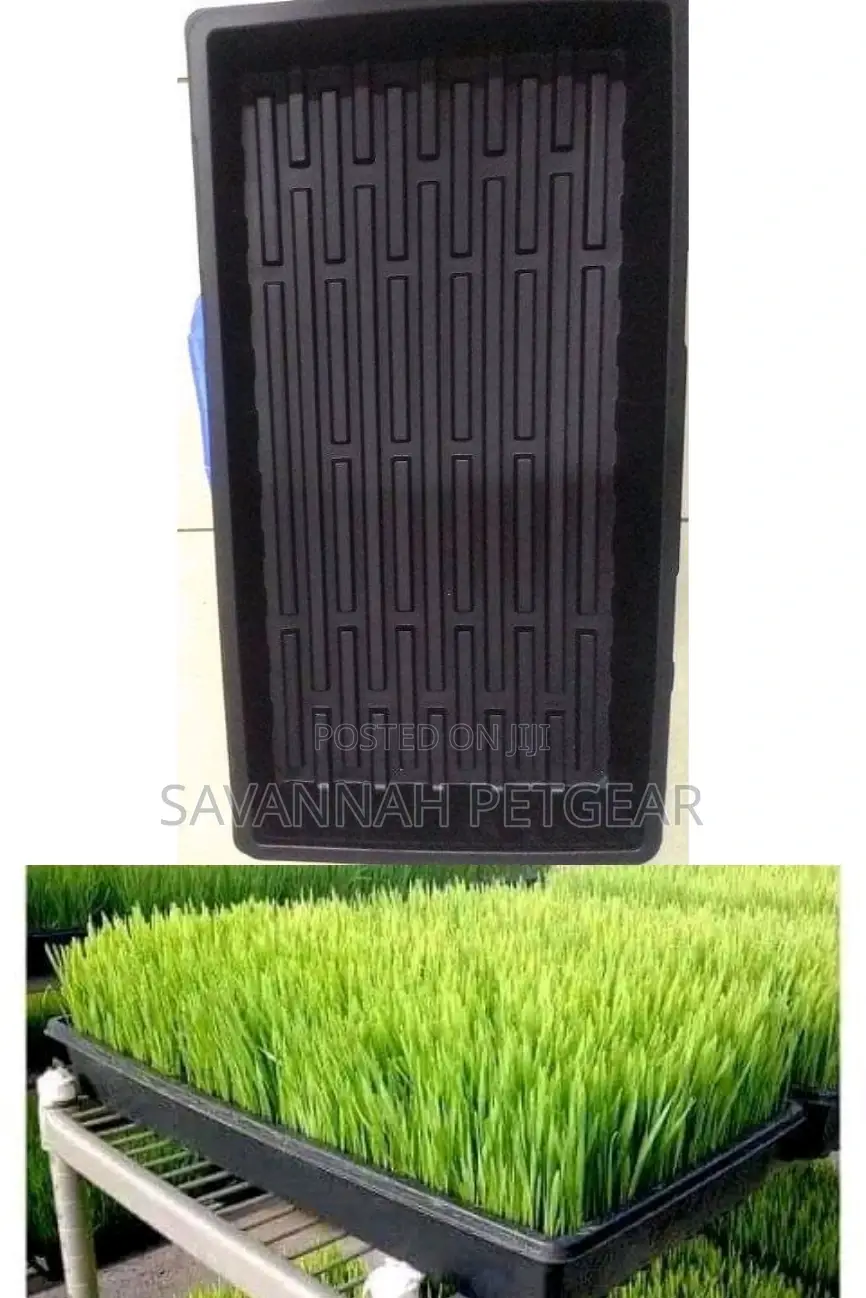 Plastic Hydroponic Fodder Trays Heavy Duty
