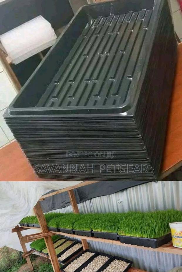 Plastic Hydroponic Fodder Trays Heavy Duty
