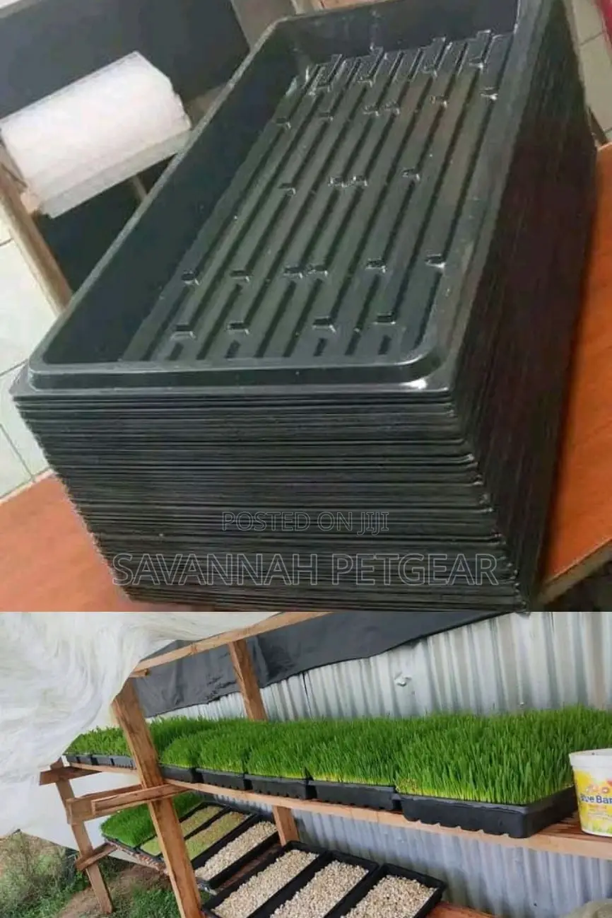Plastic Hydroponic Fodder Trays Heavy Duty