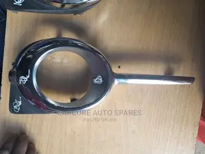 Vanguard Fog Light Chromes