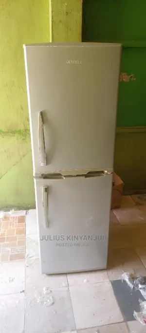 Double Door Fridge