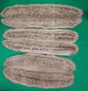 Dried Miratina Fruits Kigelia Africana Sausage Tree Fruits - Per Fruit